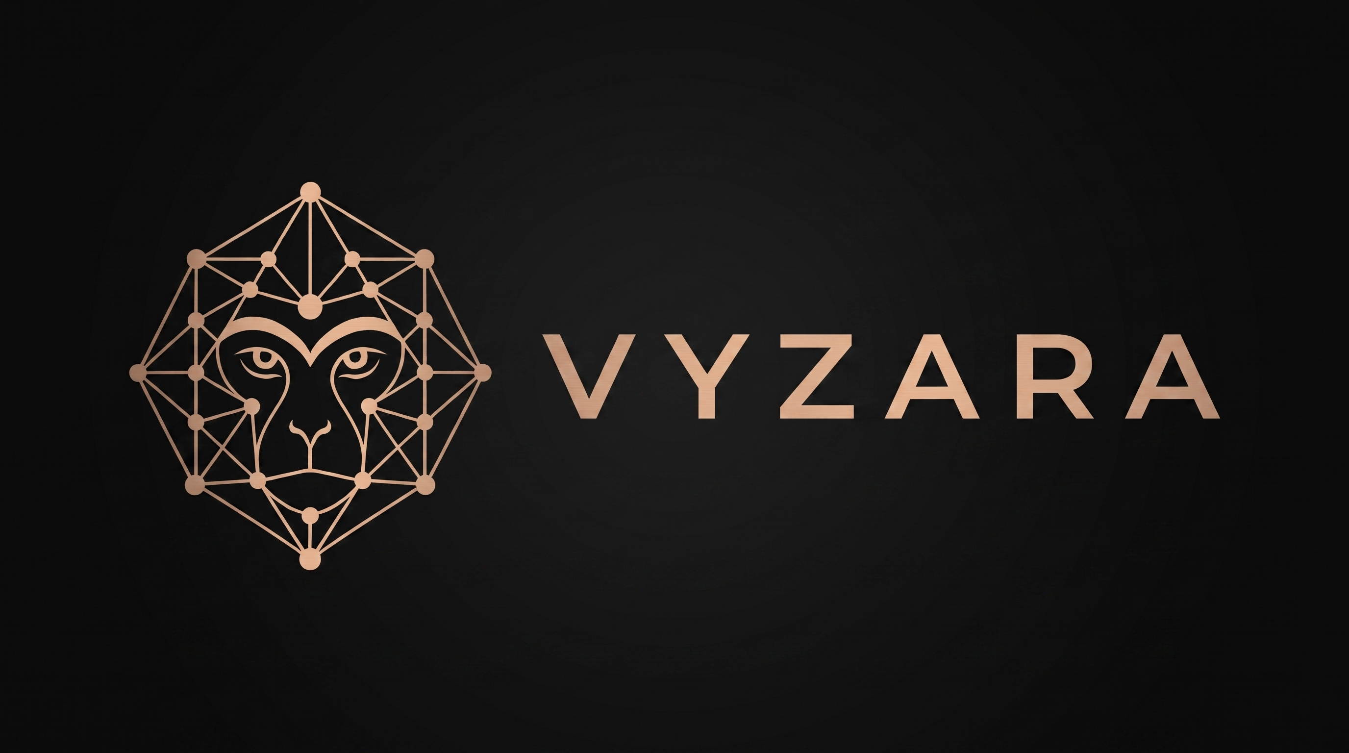 VYZARA